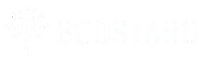 Boostaro logo